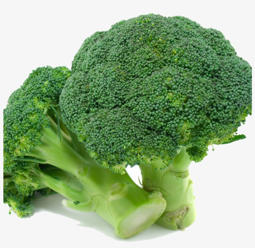 Broccoli - Naturally Treated Organic Broccoli Seeds (50 Seeds), transparent png #1491239