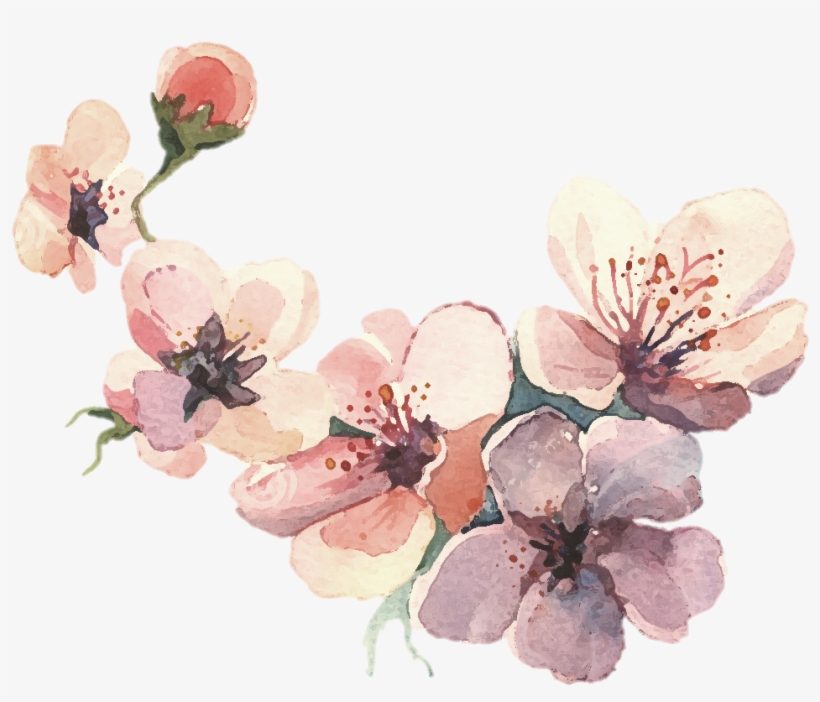 Watercolor Painting Water Color Svg Library Library - Colour Flower