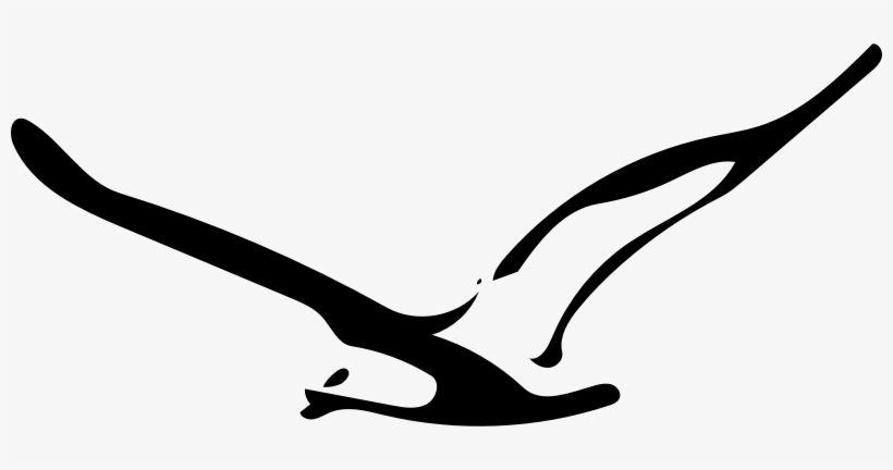 seagull outline clipart images