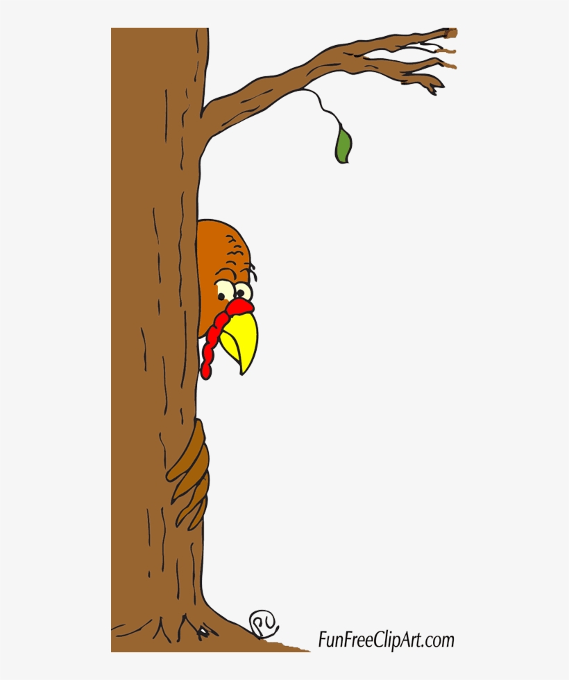 Scared Turkey Clip Art- Happy Thanksgiving - Library, transparent png #1505507