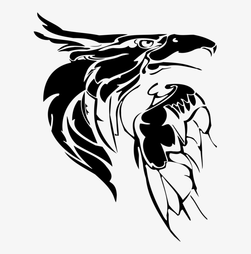 Drawing Line Art Bald Eagle Eagle Feather Law - Cabeza De Aguila Dibujo Png  - Free Transparent PNG Download - PNGkey