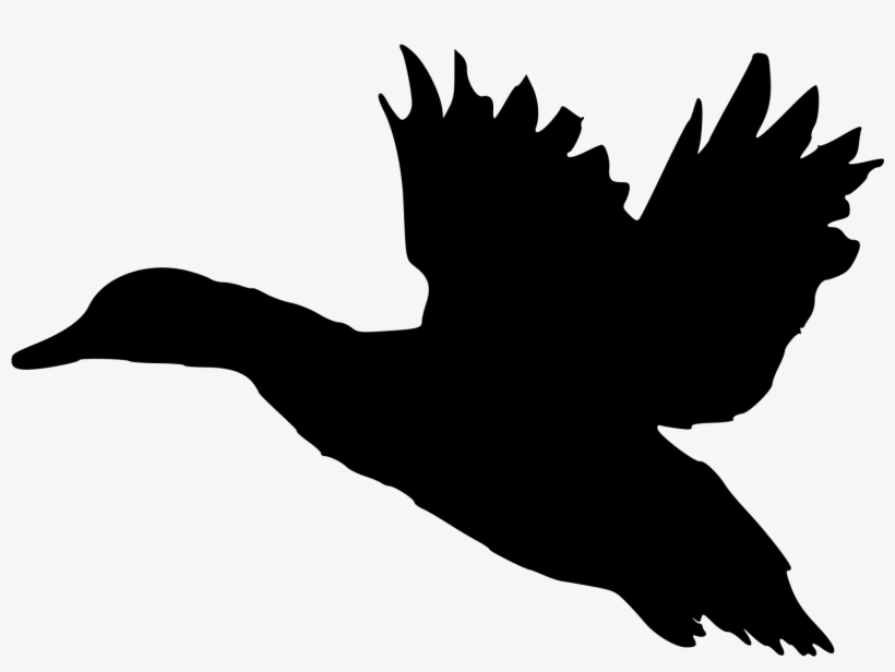 Duck Silhouette Svg