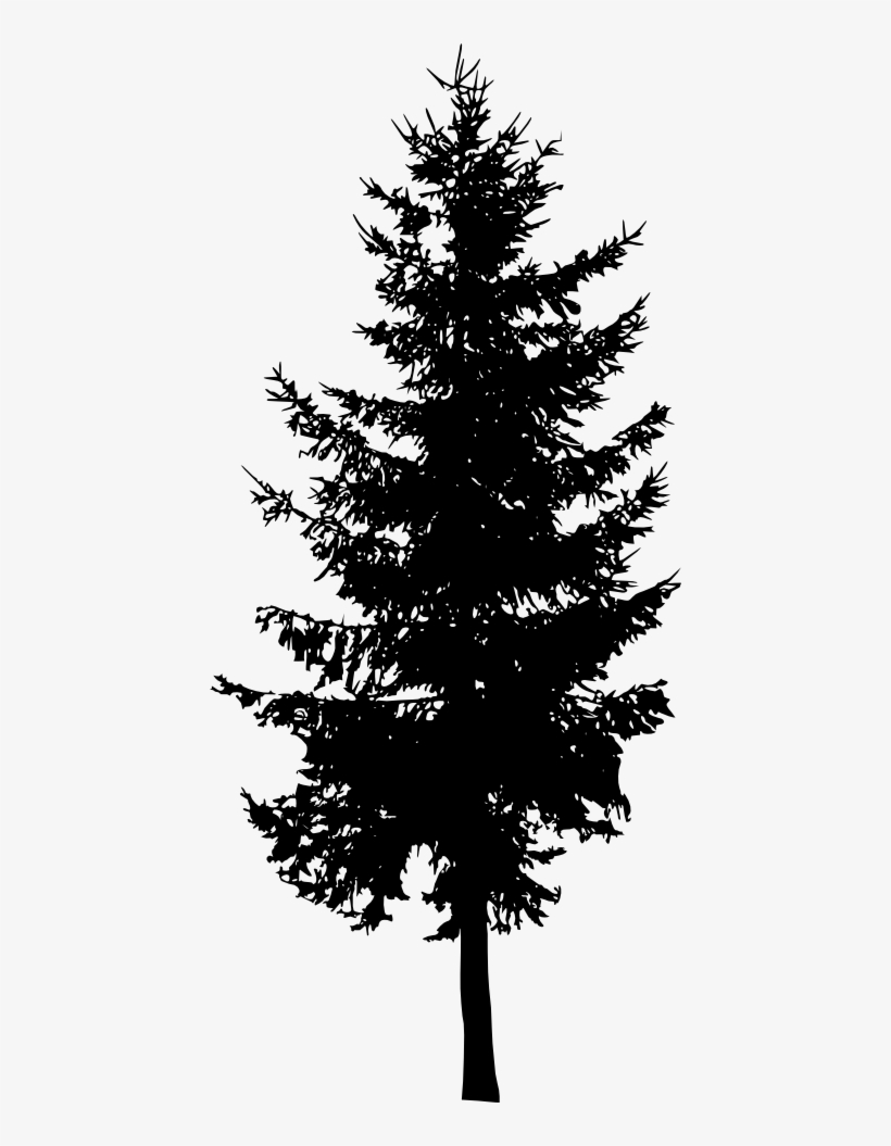 Free Download - Spruce Tree Silhouette Png - Free Transparent PNG