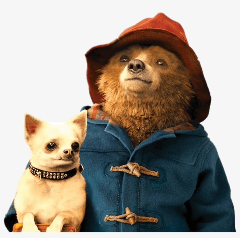 Paddington Bear Holding Small Dog Paddington Png Free Transparent