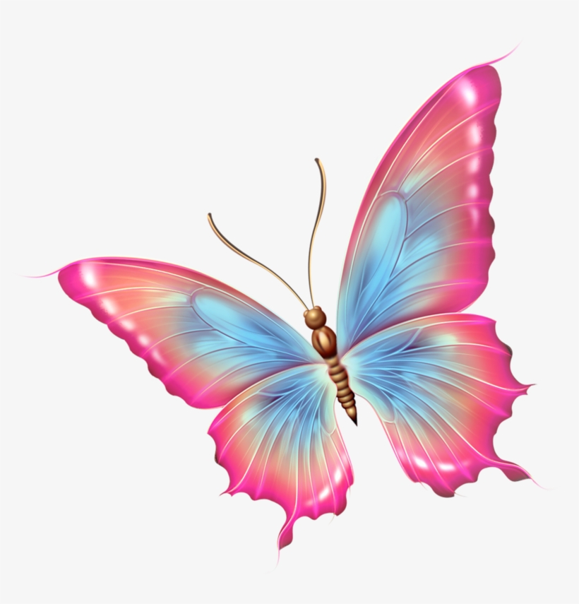 Papillons - Pink And Blue Butterfly Png - Free Transparent PNG Download ...