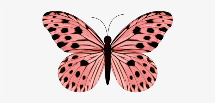 Pink Butterflies - Thank You Mother Card, transparent png #1639775
