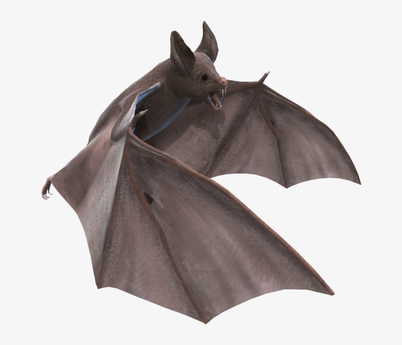 Vectors - Bat Png, transparent png #175443