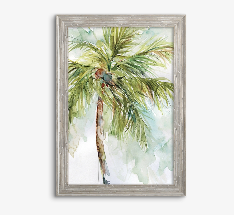 Coconut Palm - Palm Trees - Free Transparent PNG Download - PNGkey