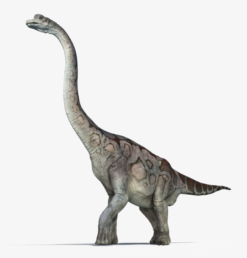 Brachiosaurus Png Pic - First Fact Dinosaurs (first Facts), transparent png #1711494