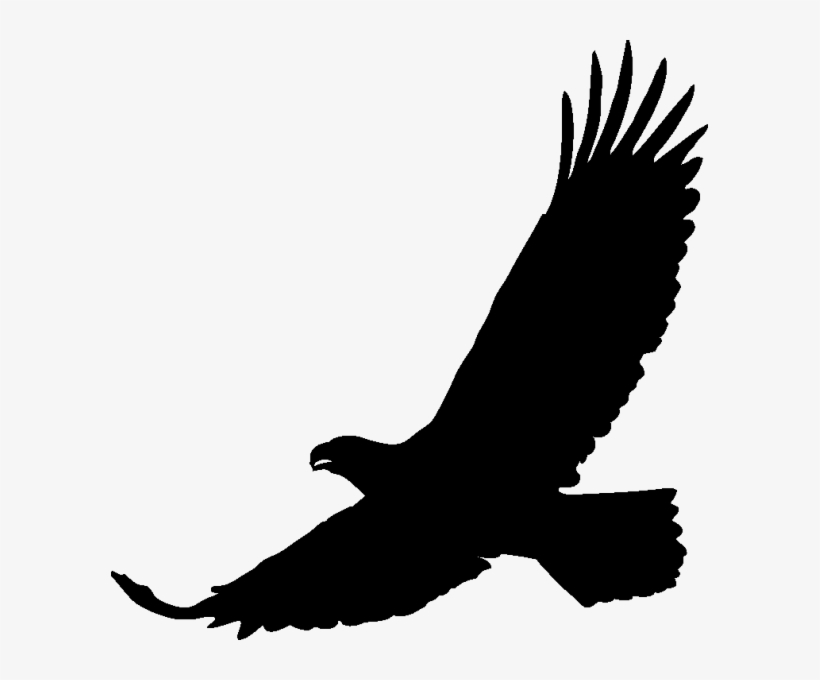 Art Black Eagle Transprent Png Free Download - Aquila - Free ...