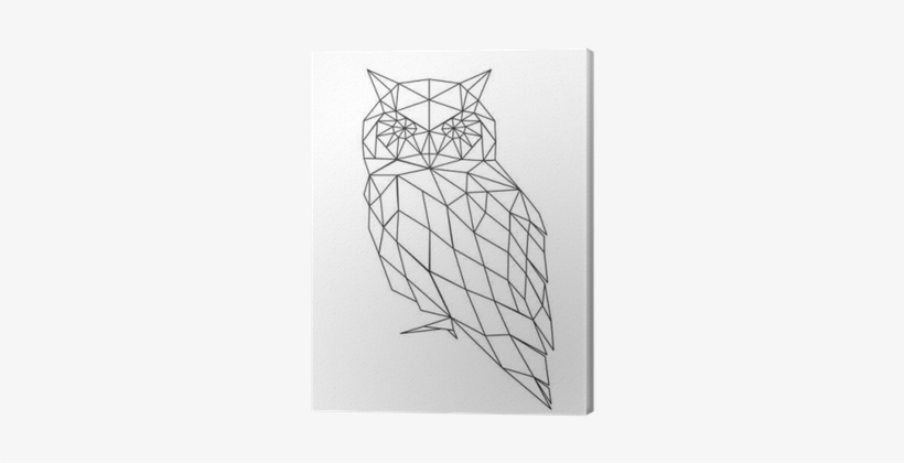 Owl Silhouette - Free Transparent Png Download - Pngkey