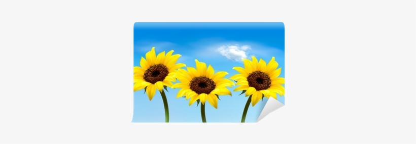 Nature Background With Three Yellow Sunflowers - Vector Graphics - Free ...
