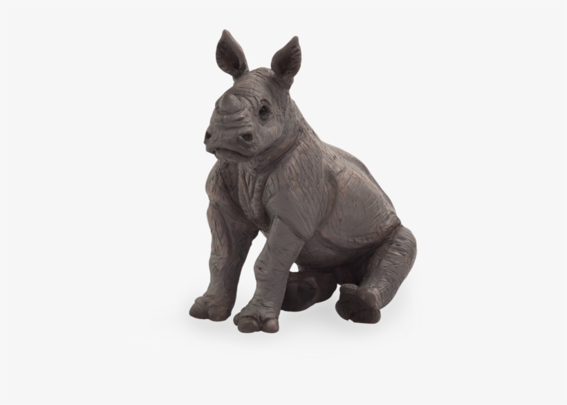 Rhino Baby Sitting - Baby Rhino Sitting - Free Transparent PNG Download ...