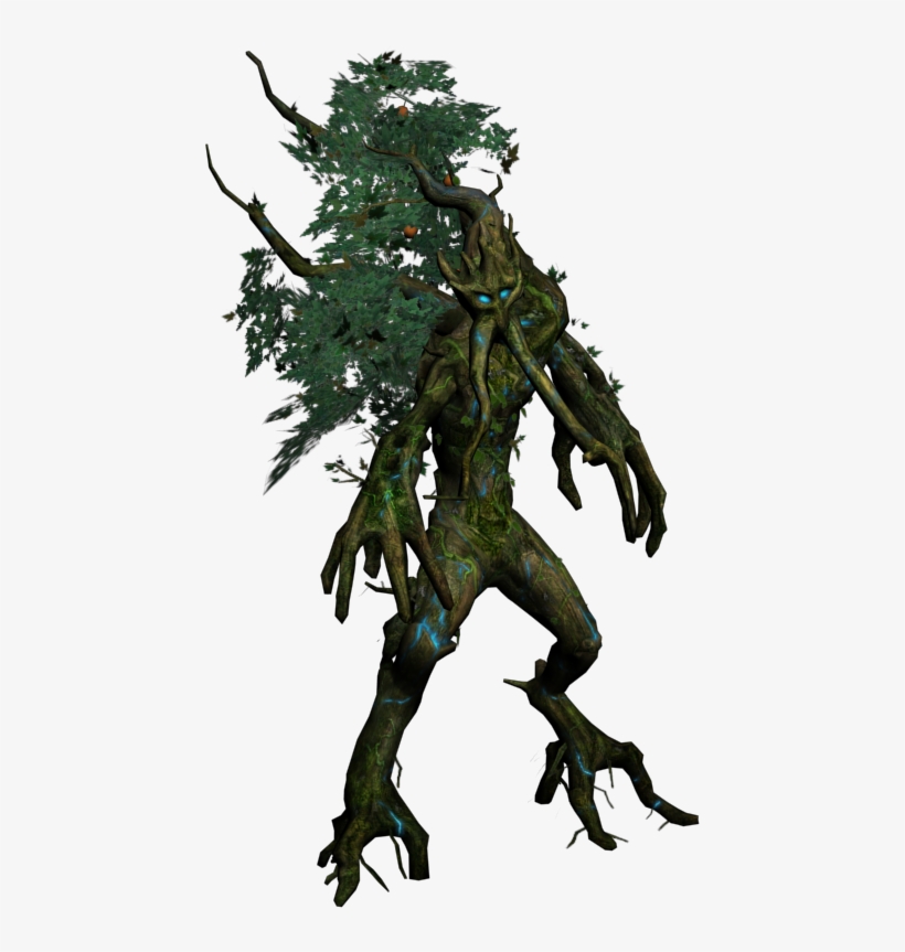 Forest Creature - Western Juniper - Free Transparent PNG Download - PNGkey