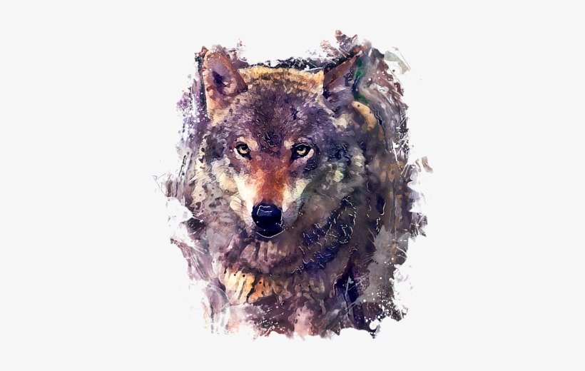 Click And Drag To Re-position The Image, If Desired - Wolf Watercolor Painting, transparent png #25545