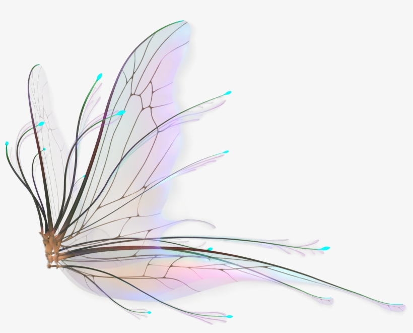 Download Fairy Wings Png - Realistic Fairy Wings Png - Free ...
