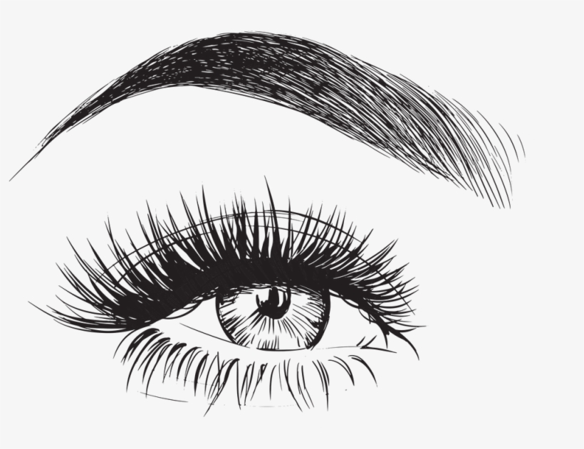 Eyebrow Vector Eyebrows And Eyelashes Drawing Free Transparent PNG