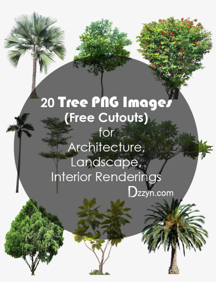 02- 20 Tree Png Images For Architecture, Landscape, - Tree Landscape Architecture, transparent png #29597