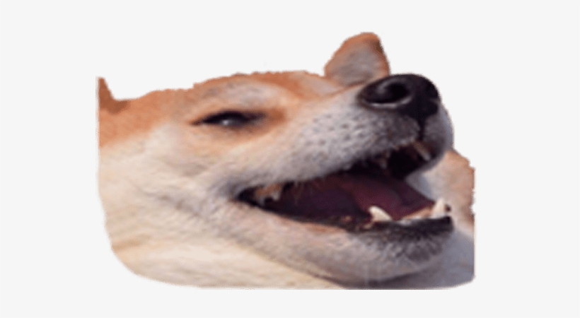 Design Any Discord Emoji - You Take A Shit And They Have, transparent png #2004913