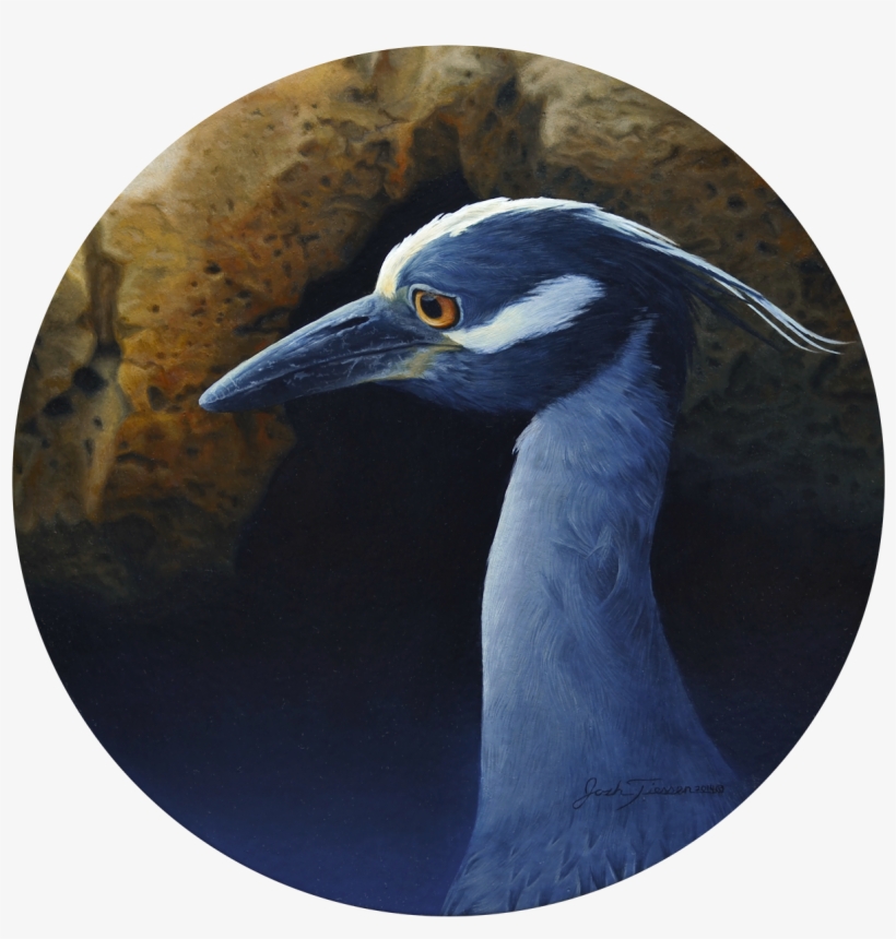 Regal Blues - Great Blue Heron, transparent png #2010342