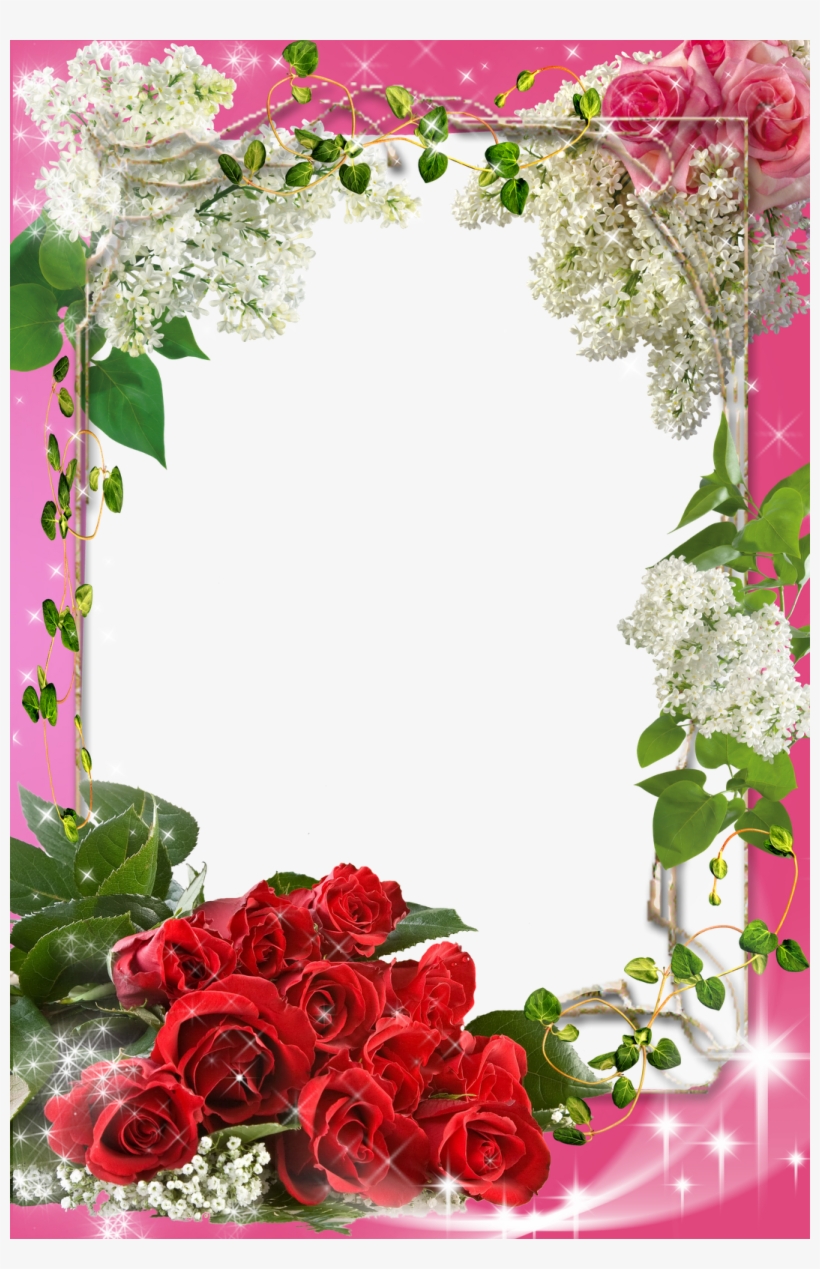 Photoshop Flower Borders And Frames