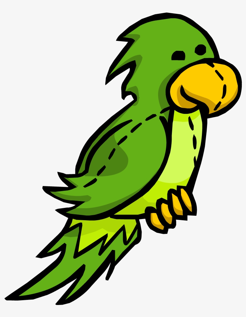 Green Parrot Club Penguin Wiki - Captain Rockhopper Club Penguin - Free  Transparent PNG Download - PNGkey