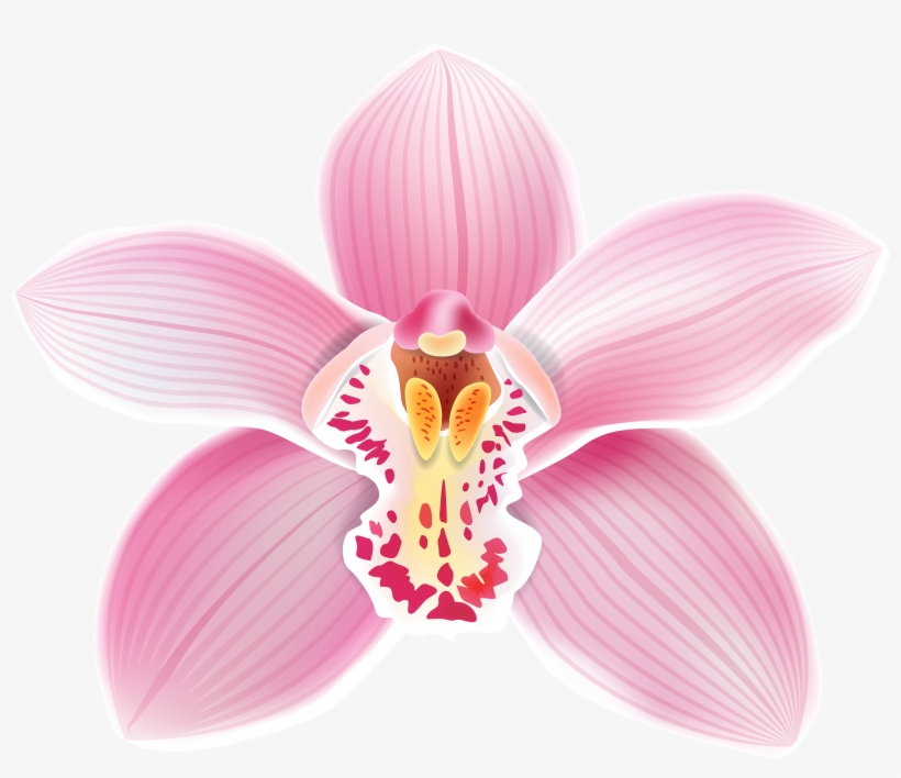 andacht clipart of flowers