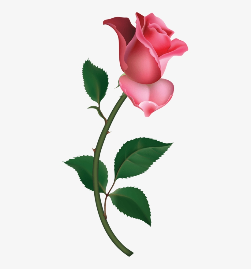 All Images From Collection - Rose Bud Clip Art - Free Transparent PNG ...