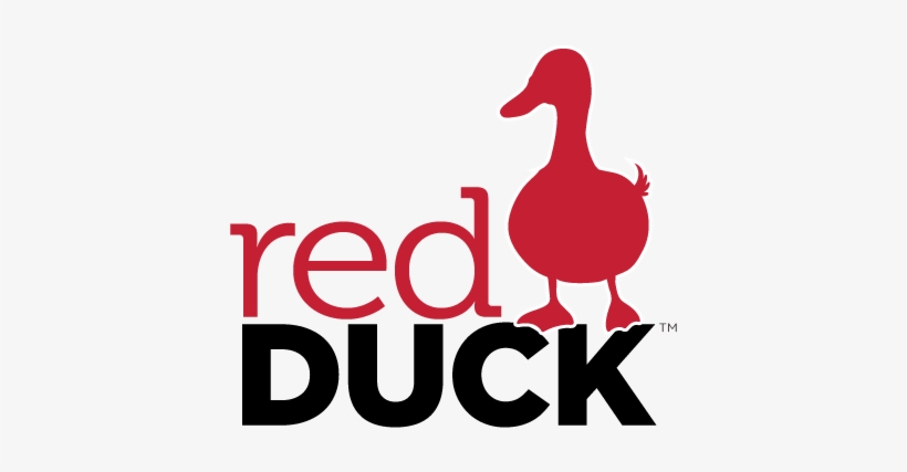 Ducks Png - Free Transparent PNG Download - PNGkey