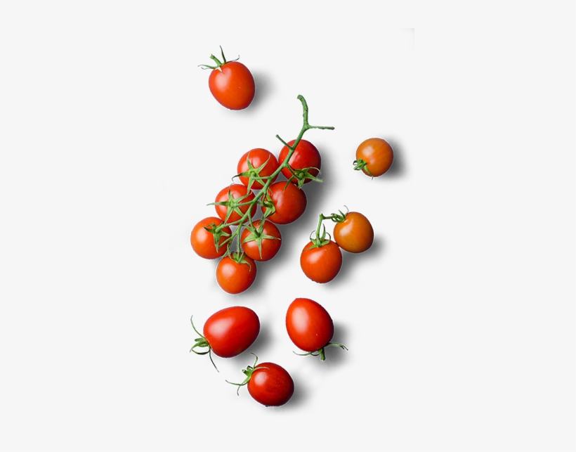 Tomates Cerise Vegetable Png Top Wiev Free Transparent Png Download Pngkey