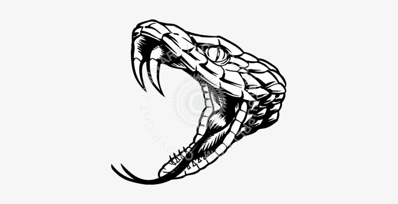  Snake  Fangs Png  Clip Royalty Free Library Rattlesnake 