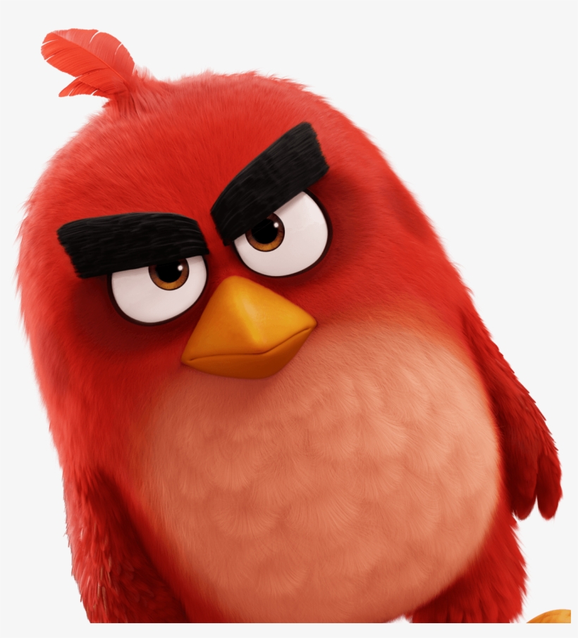 Red Angry Bird Red Png Free Transparent Png Download Pngkey - red bird in a bag angry birds roblox