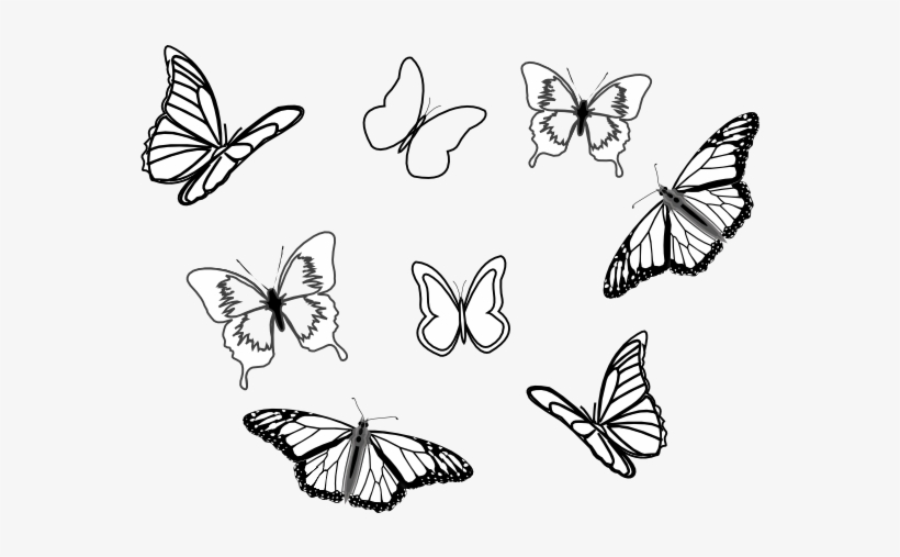 Free Free 50 Butterfly Svg Vector SVG PNG EPS DXF File