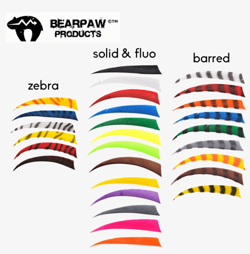 bearpaw brand