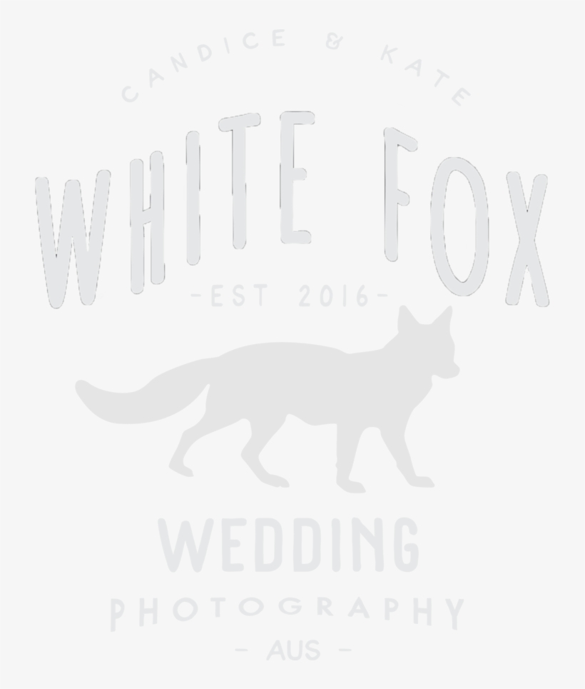 Fox Shine Png - Free Transparent PNG Download - PNGkey