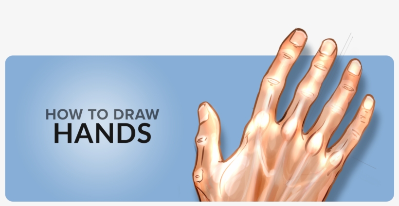 How To Draw Hands Tutorial - Free Transparent PNG Download - PNGkey