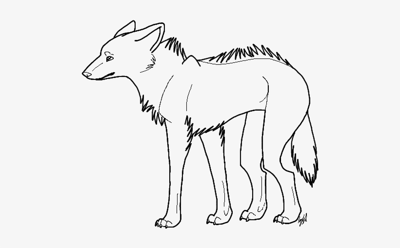 Drawn Hyena Simple - Pencil - Free Transparent PNG Download - PNGkey