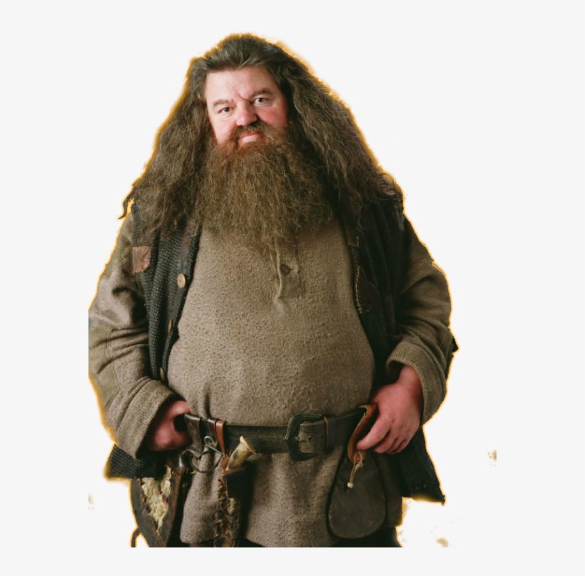 hagrid rubeus harry potter