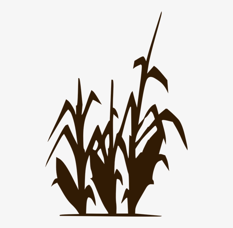 Harvest Clipart Harvest Crop - Limitless Horizons Ixil, transparent png #2397078