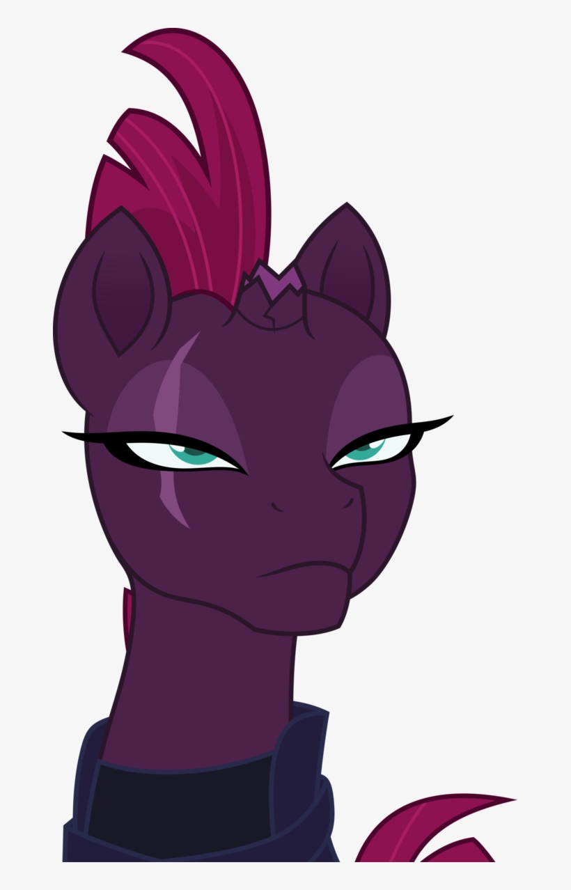 Vector - Twilight Sparkle And Zira - Free Transparent Png Download - Pngkey