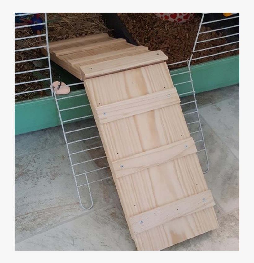 ladder for rabbit cage