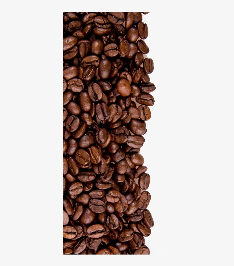 coffee bean border