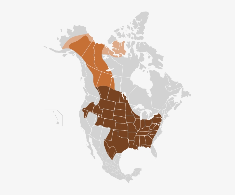 Original Distribution - Bison Range - Free Transparent PNG Download ...