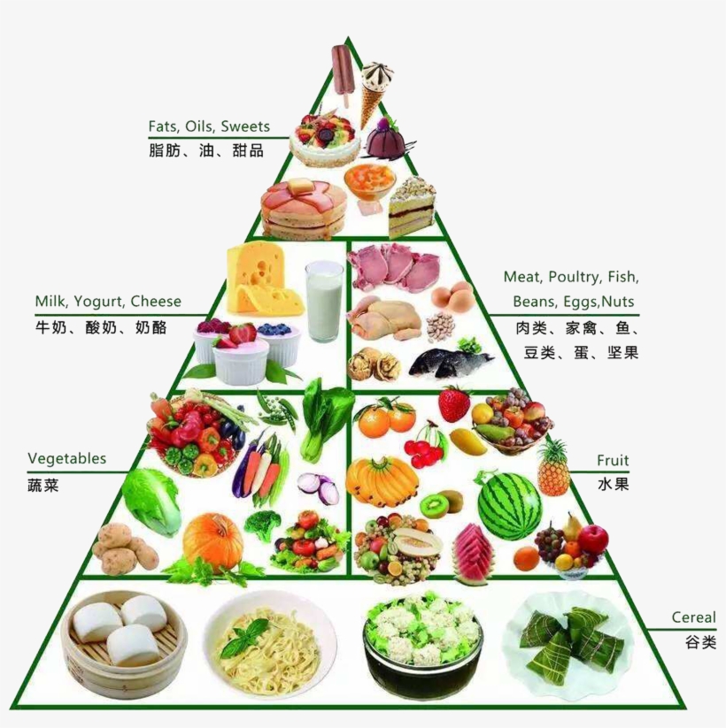 Dietary Supplement Nutrition Healthy Healthy Food Pyramid Png Free Transparent Png Download Pngkey