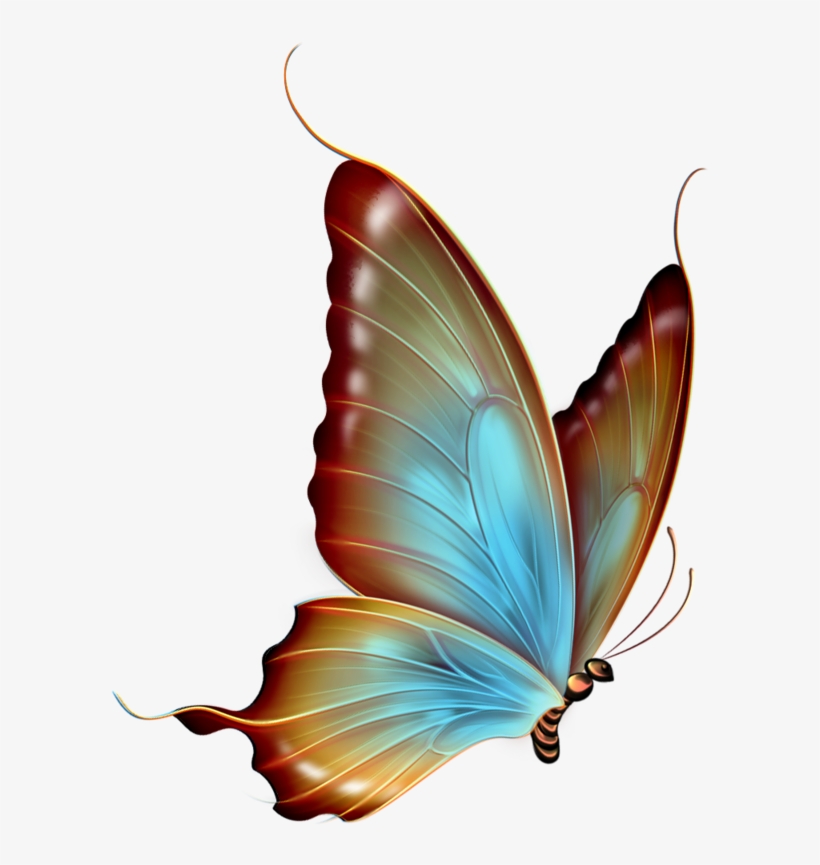 Transparent Background Butterfly Png - Free Transparent PNG Download ...