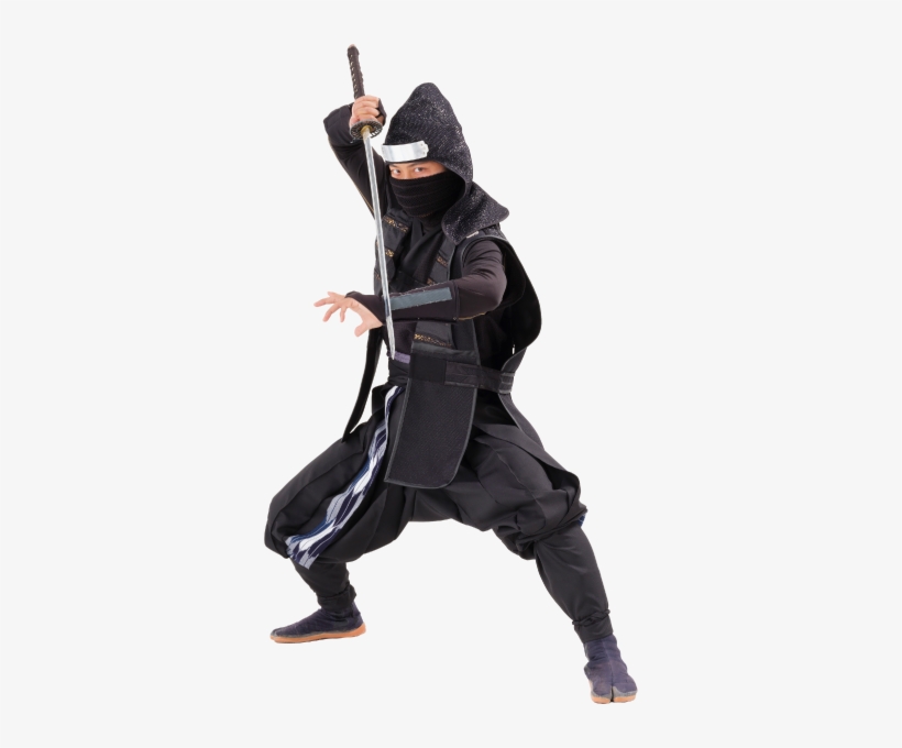 Hattori Hanzo and the Ninjas