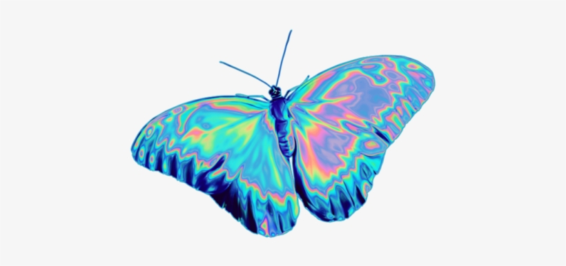 8 - Butterfly Png - Free Transparent PNG Download - PNGkey