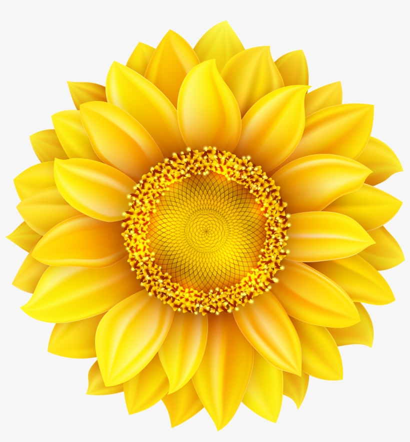 Free Free 231 Clear Background Sunflower Bouquet Svg SVG PNG EPS DXF File