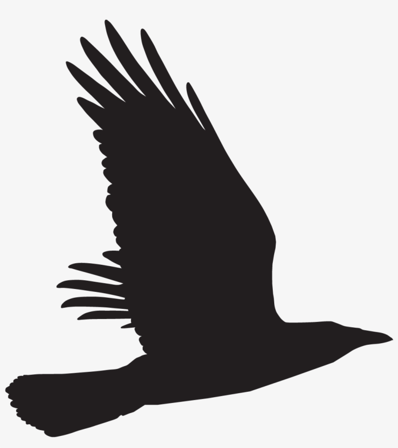 Buzzard - Free Transparent PNG Download - PNGkey