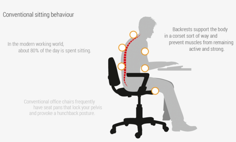 Conventional Sitting Behaviour - 3dee Aeris - Free Transparent PNG ...